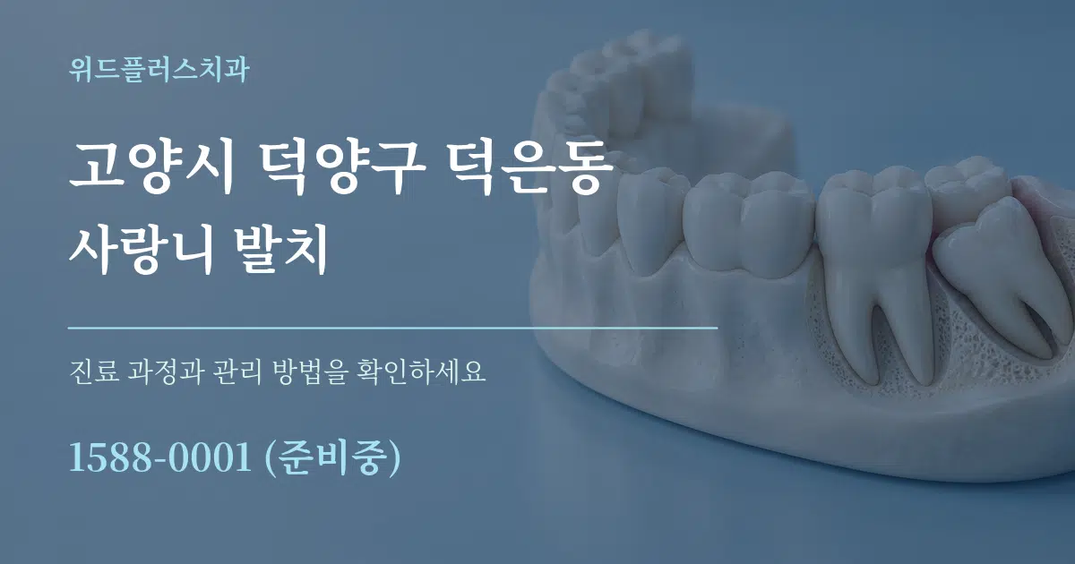고양시 덕양구 덕은동 사랑니 발치 서비스 이용 안내 그래픽