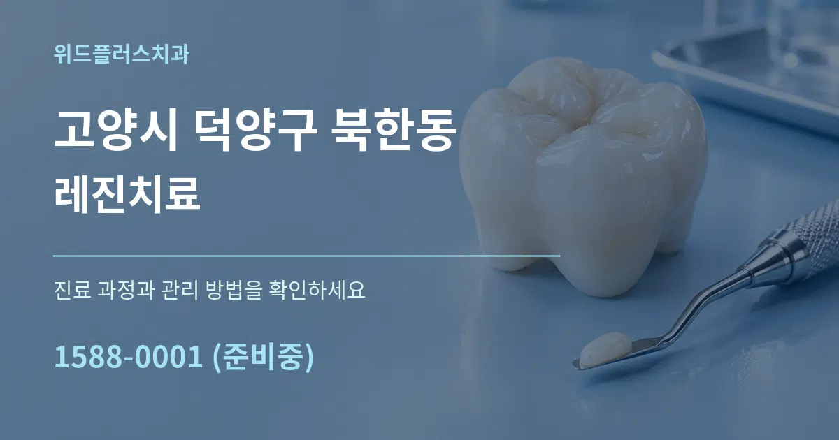 고양시 덕양구 북한동 레진치료 서비스 이용 안내 그래픽