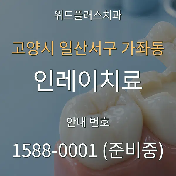 고양시 일산서구 가좌동 인레이치료 대표 안내 그래픽