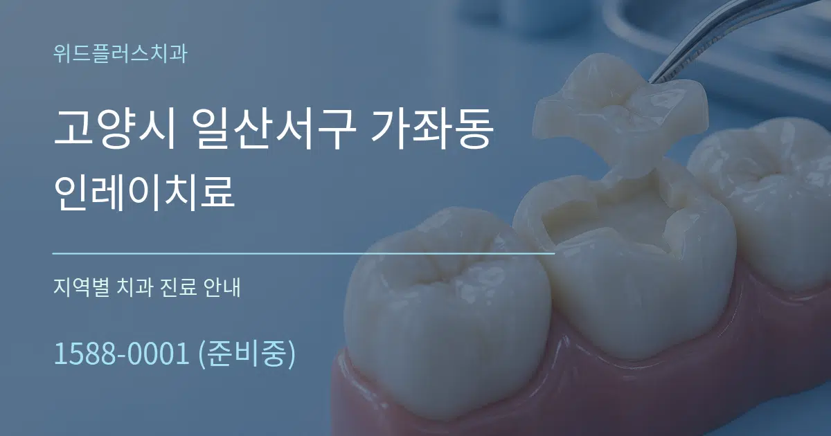 고양시 일산서구 가좌동 인레이치료 대표 안내 그래픽