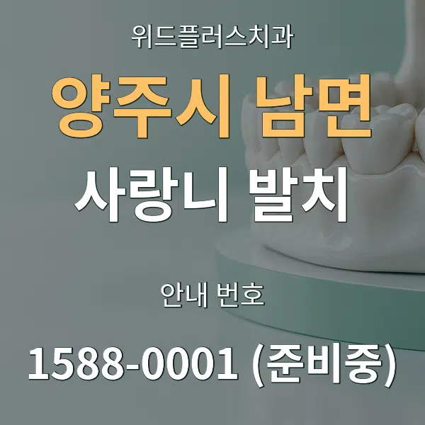 양주시 남면 사랑니 발치 대표 안내 그래픽