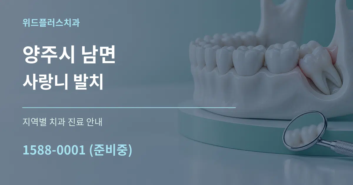 양주시 남면 사랑니 발치 대표 안내 그래픽