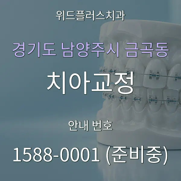 경기도 남양주시 금곡동 치아교정 대표 안내 그래픽