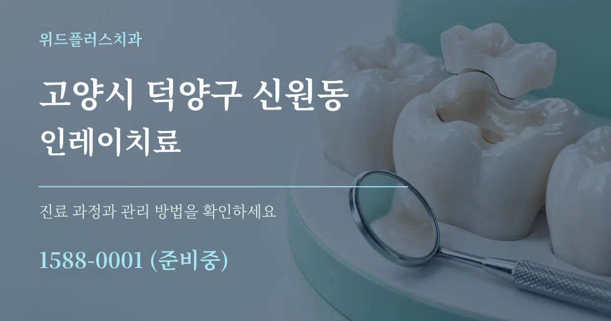 고양시 덕양구 신원동 인레이치료 서비스 이용 안내 그래픽