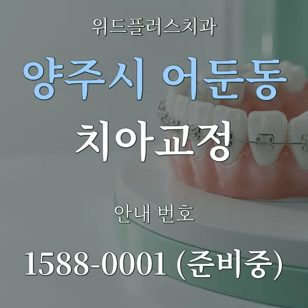 양주시 어둔동 치아교정 대표 안내 그래픽