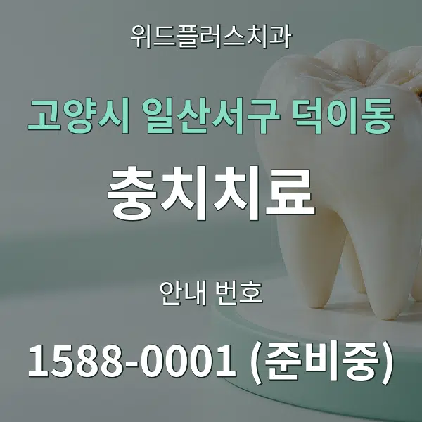 고양시 일산서구 덕이동 충치치료 대표 안내 그래픽