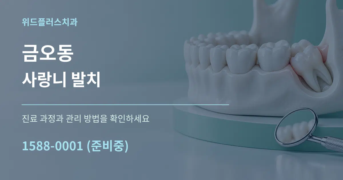 금오동 사랑니 발치 작업 조건 안내 그래픽