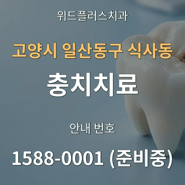 고양시 일산동구 식사동 충치치료 대표 안내 그래픽