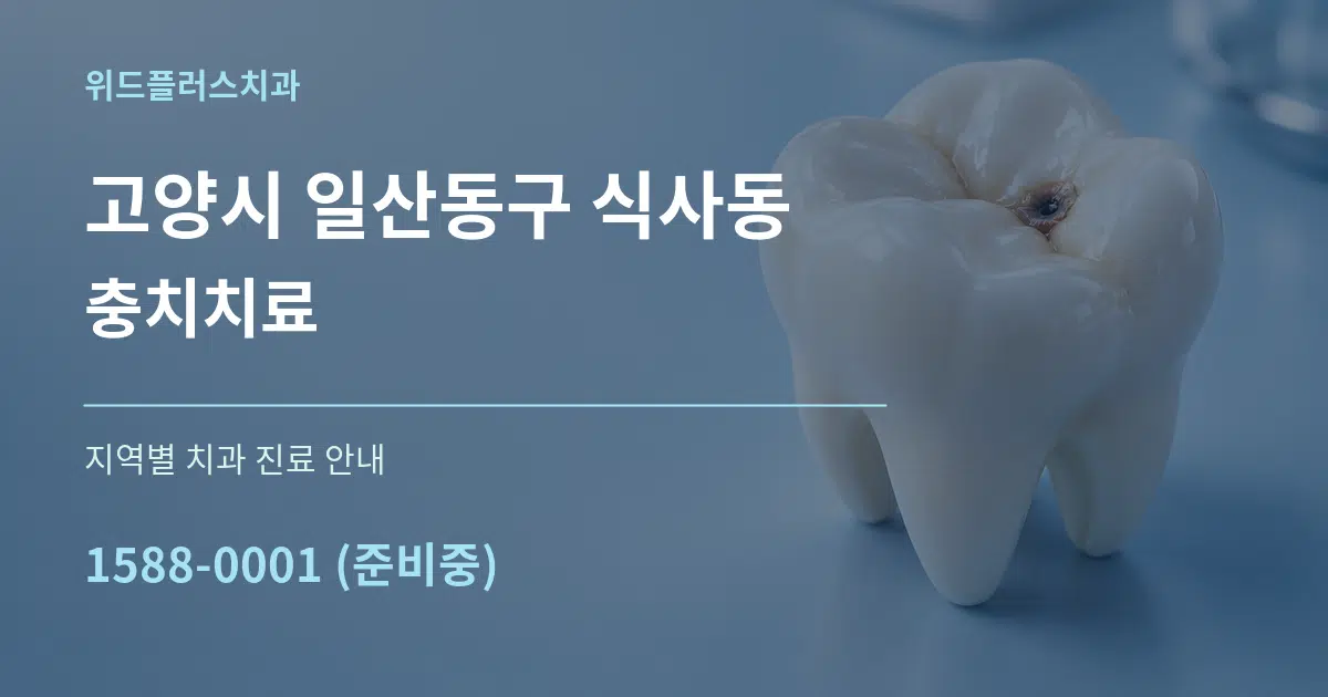 고양시 일산동구 식사동 충치치료 대표 안내 그래픽