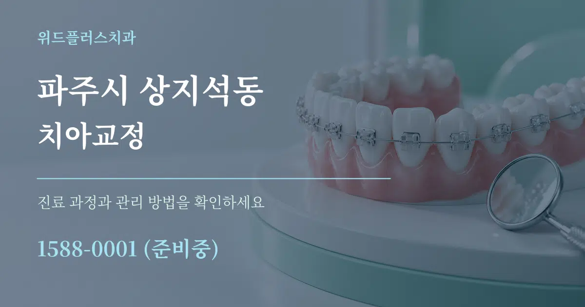 파주시 상지석동 치아교정 작업 조건 안내 그래픽