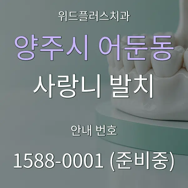 양주시 어둔동 사랑니 발치 대표 안내 그래픽