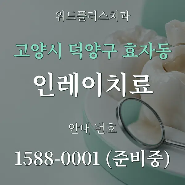 고양시 덕양구 효자동 인레이치료 대표 안내 그래픽