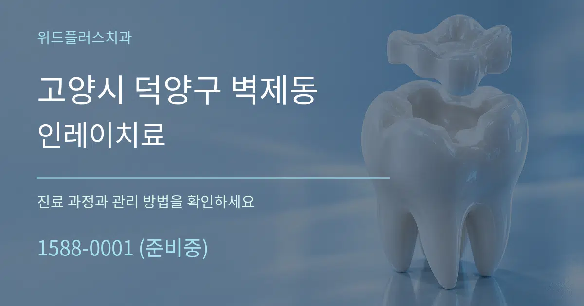 고양시 덕양구 벽제동 인레이치료 서비스 이용 안내 그래픽
