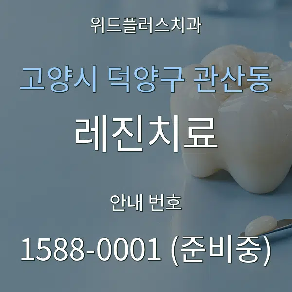 고양시 덕양구 관산동 레진치료 대표 안내 그래픽