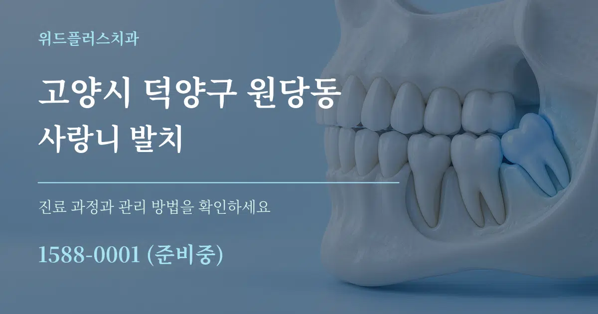 고양시 덕양구 원당동 사랑니 발치 서비스 이용 안내 그래픽