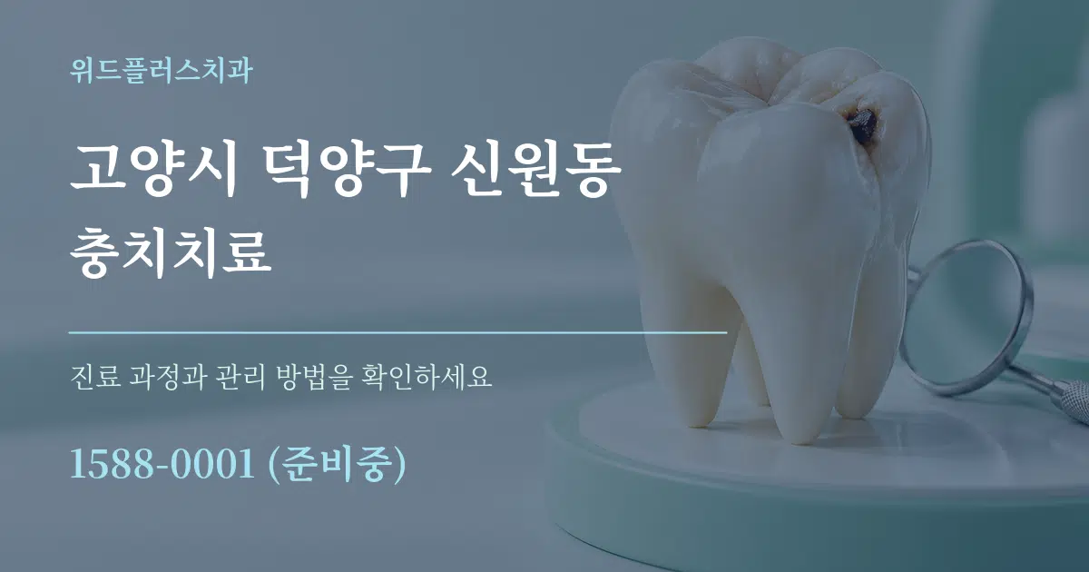 고양시 덕양구 신원동 충치치료 서비스 이용 안내 그래픽
