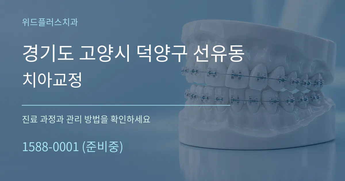 경기도 고양시 덕양구 선유동 치아교정 작업 조건 안내 그래픽
