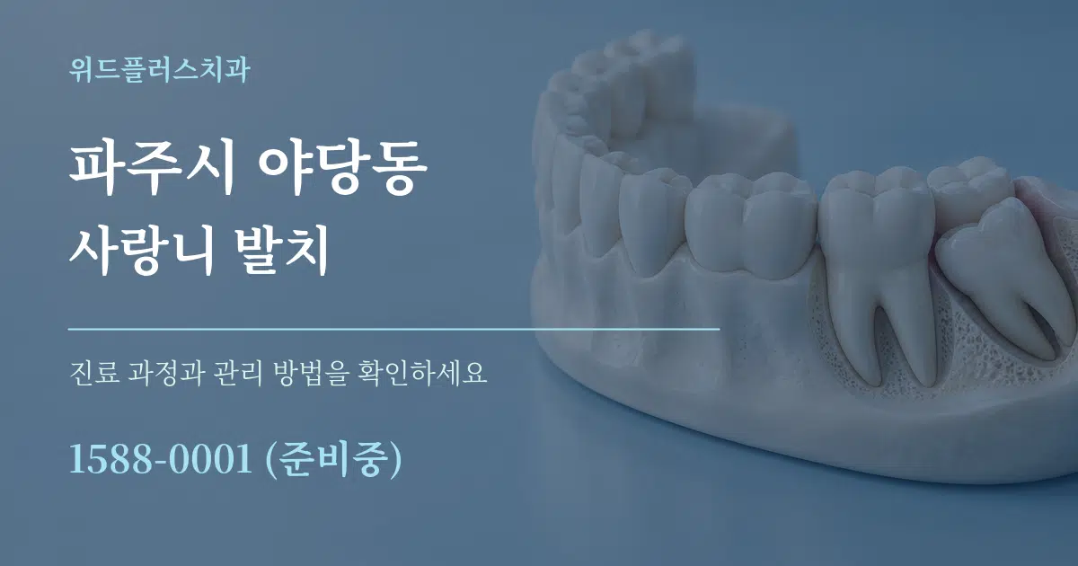 파주시 야당동 사랑니 발치 서비스 이용 안내 그래픽