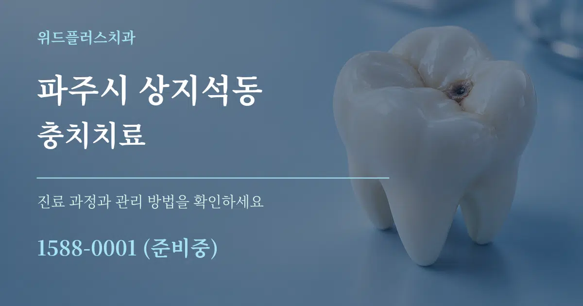 파주시 상지석동 충치치료 서비스 이용 안내 그래픽