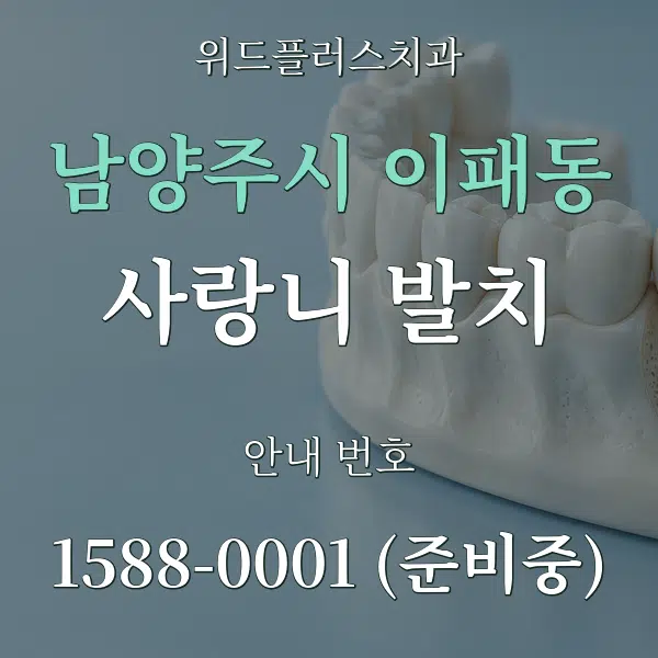 남양주시 이패동 사랑니 발치 대표 안내 그래픽
