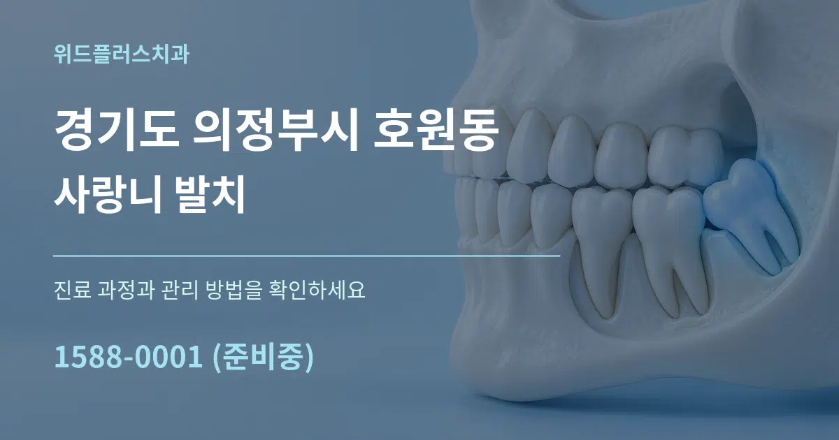 경기도 의정부시 호원동 사랑니 발치 작업 조건 안내 그래픽
