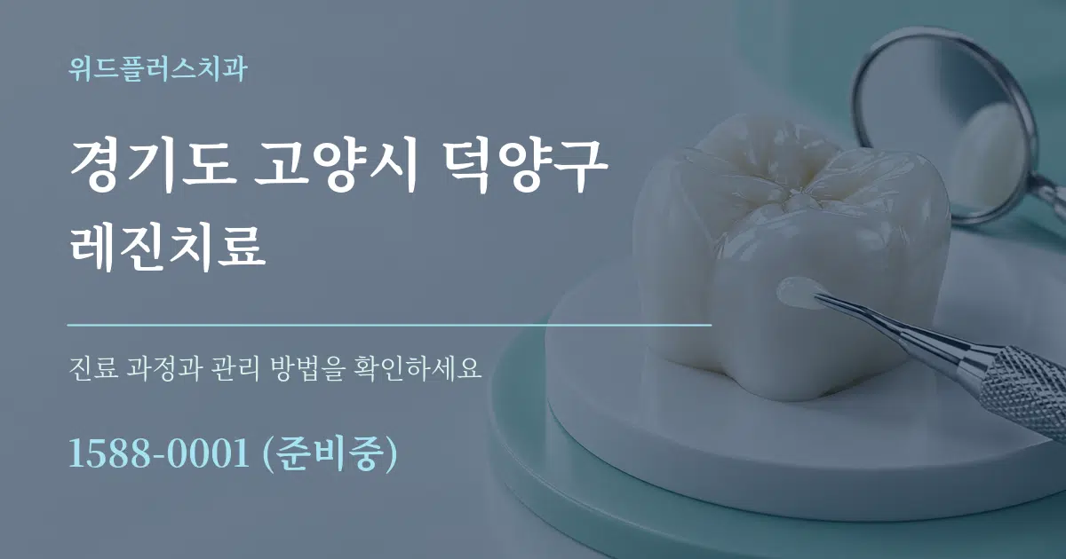 경기도 고양시 덕양구 레진치료 서비스 이용 안내 그래픽