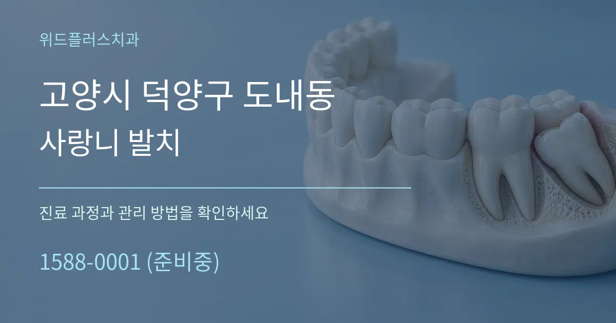 고양시 덕양구 도내동 사랑니 발치 작업 조건 안내 그래픽