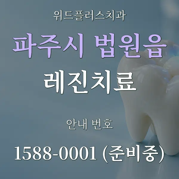 파주시 법원읍 레진치료 대표 안내 그래픽