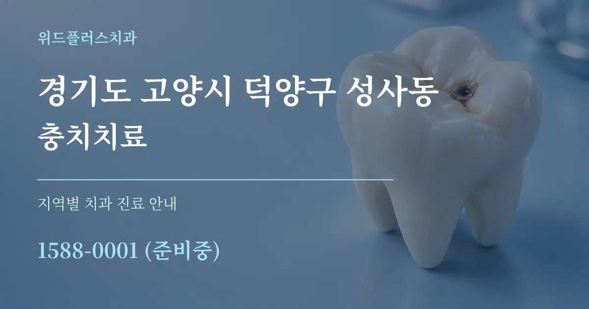 경기도 고양시 덕양구 성사동 충치치료 대표 안내 그래픽