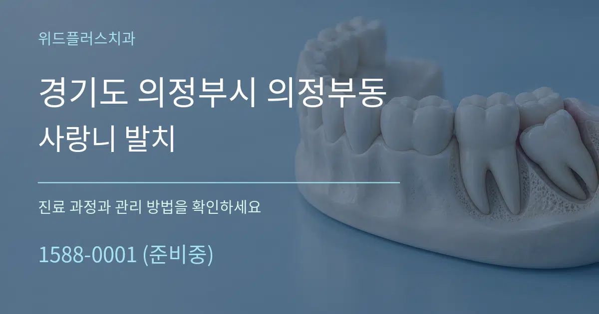 경기도 의정부시 의정부동 사랑니 발치 작업 조건 안내 그래픽