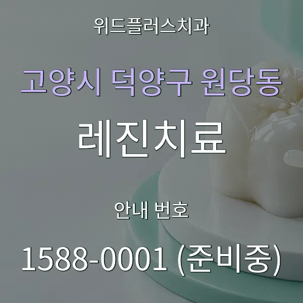 고양시 덕양구 원당동 레진치료 대표 안내 그래픽