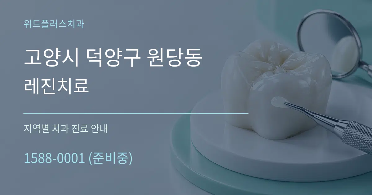 고양시 덕양구 원당동 레진치료 대표 안내 그래픽