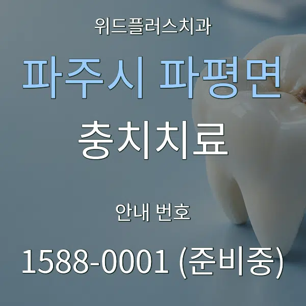 파주시 파평면 충치치료 대표 안내 그래픽