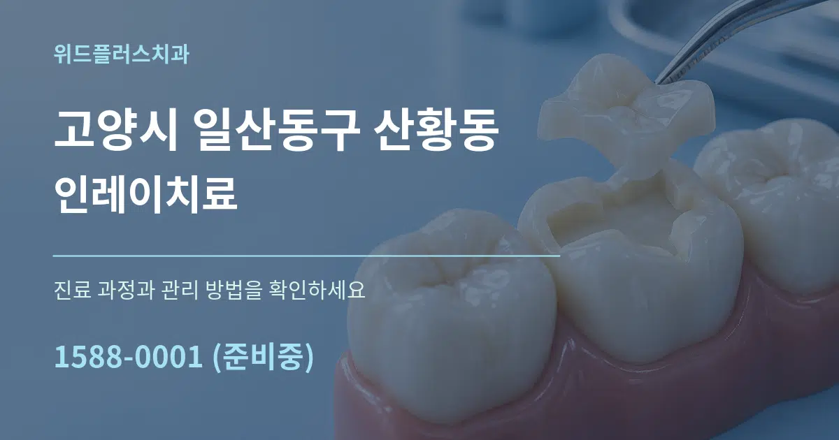 고양시 일산동구 산황동 인레이치료 서비스 이용 안내 그래픽