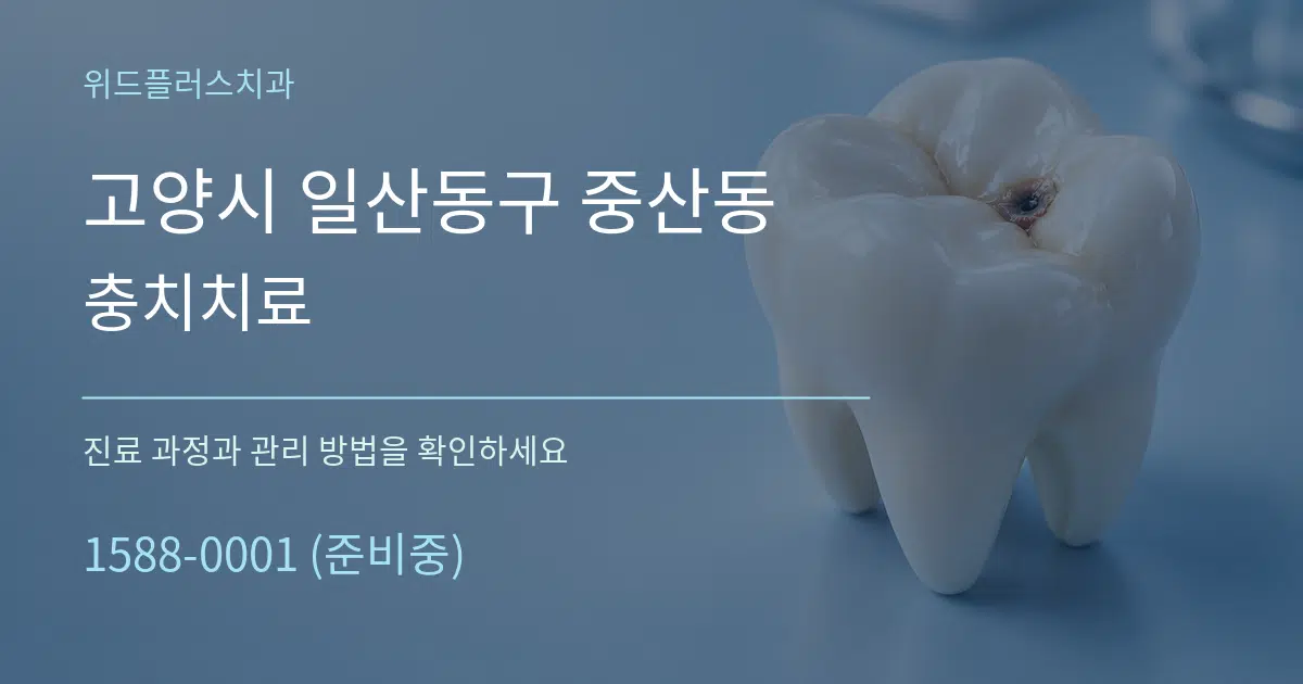 고양시 일산동구 중산동 충치치료 서비스 이용 안내 그래픽