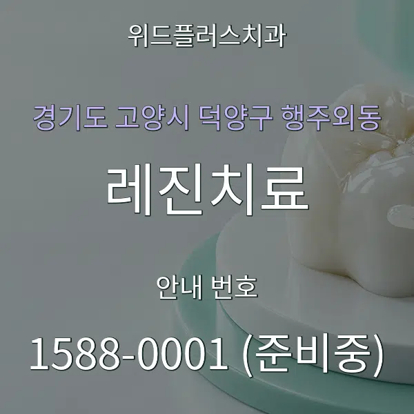 경기도 고양시 덕양구 행주외동 레진치료 대표 안내 그래픽