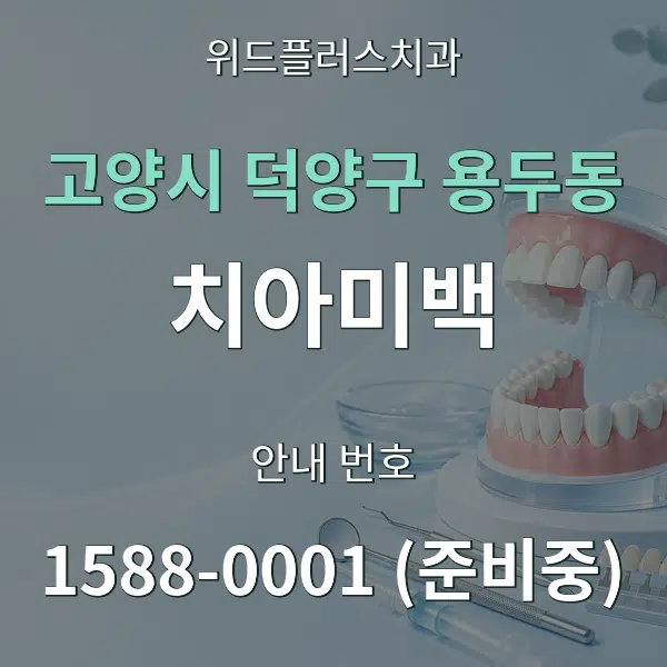 고양시 덕양구 용두동 치아미백 대표 안내 그래픽