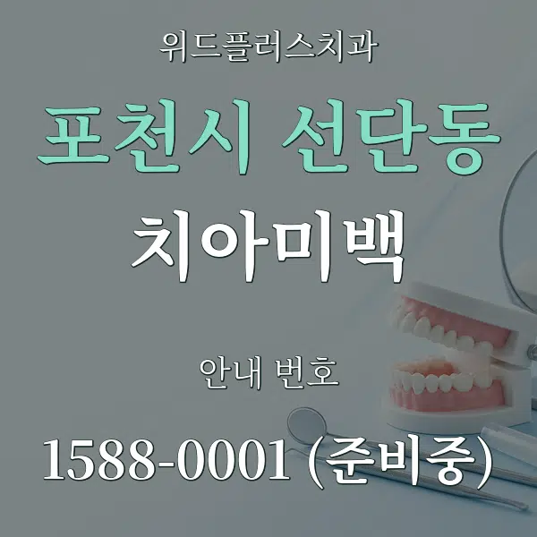 포천시 선단동 치아미백 대표 안내 그래픽