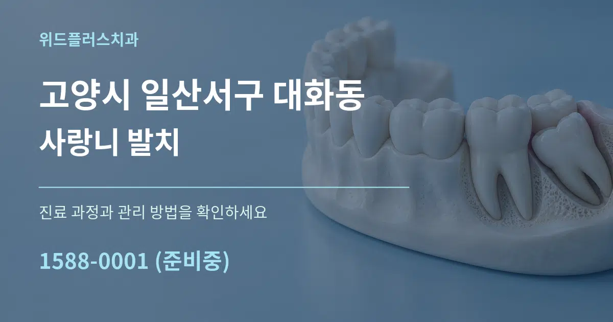 고양시 일산서구 대화동 사랑니 발치 서비스 이용 안내 그래픽