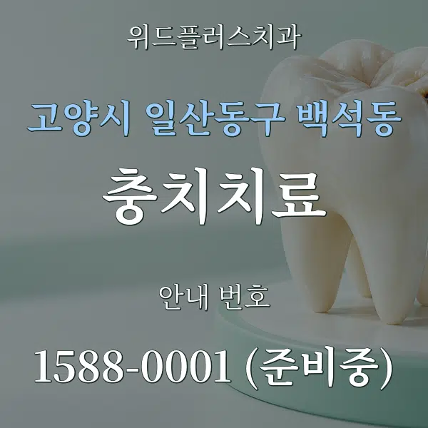 고양시 일산동구 백석동 충치치료 대표 안내 그래픽