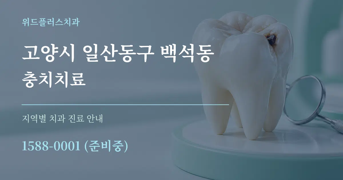 고양시 일산동구 백석동 충치치료 대표 안내 그래픽