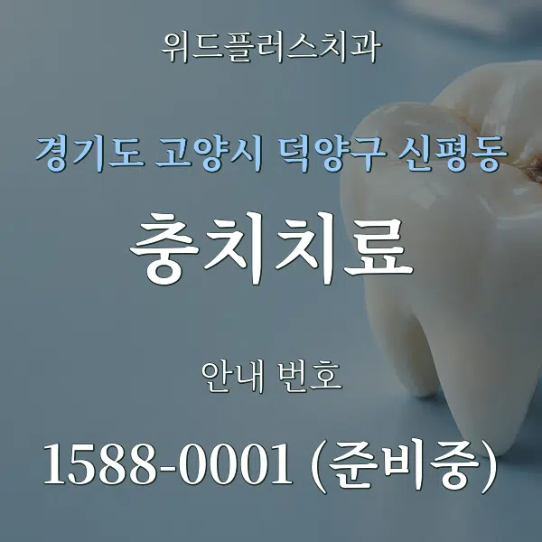 경기도 고양시 덕양구 신평동 충치치료 대표 안내 그래픽