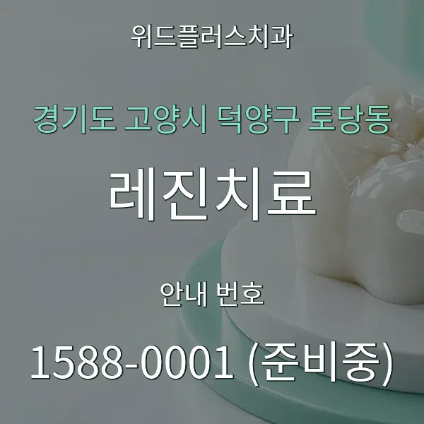 경기도 고양시 덕양구 토당동 레진치료 대표 안내 그래픽