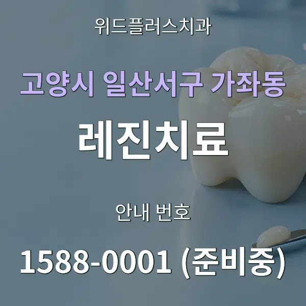 고양시 일산서구 가좌동 레진치료 대표 안내 그래픽
