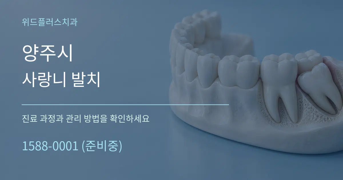 양주시 사랑니 발치 작업 조건 안내 그래픽