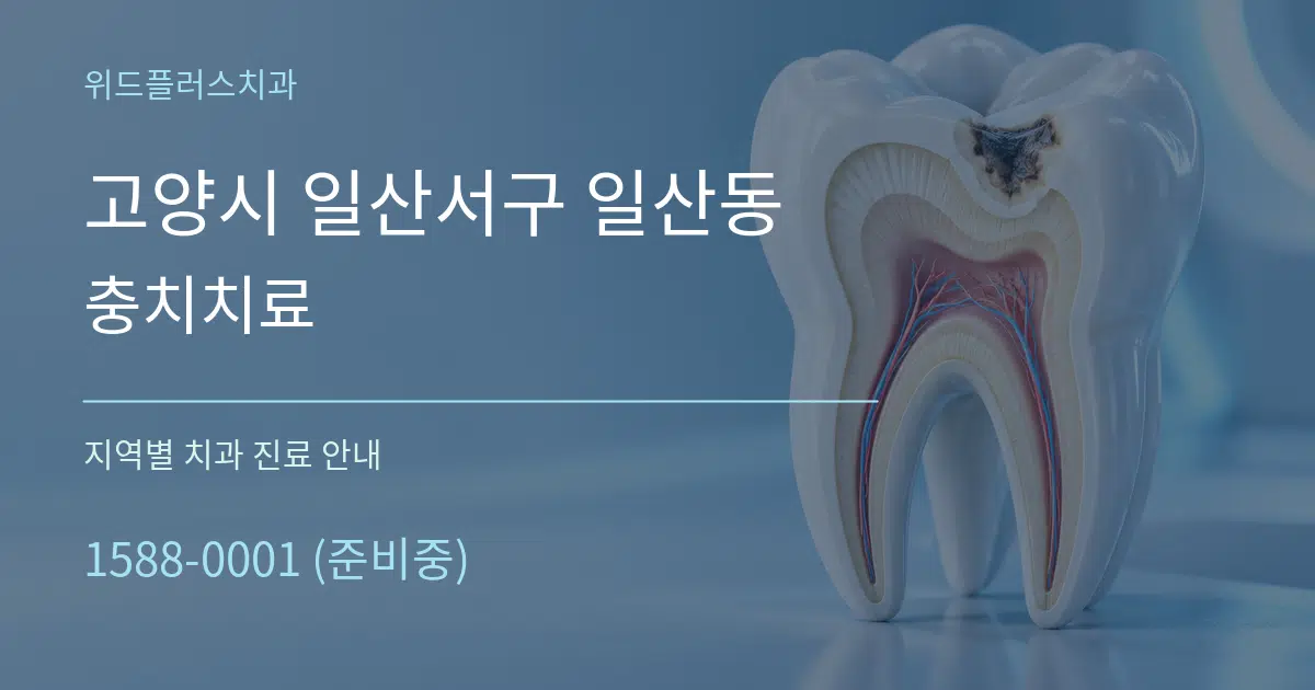 고양시 일산서구 일산동 충치치료 대표 안내 그래픽