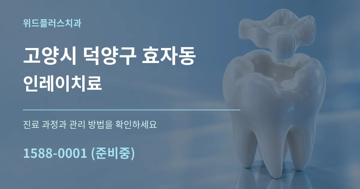 고양시 덕양구 효자동 인레이치료 서비스 이용 안내 그래픽