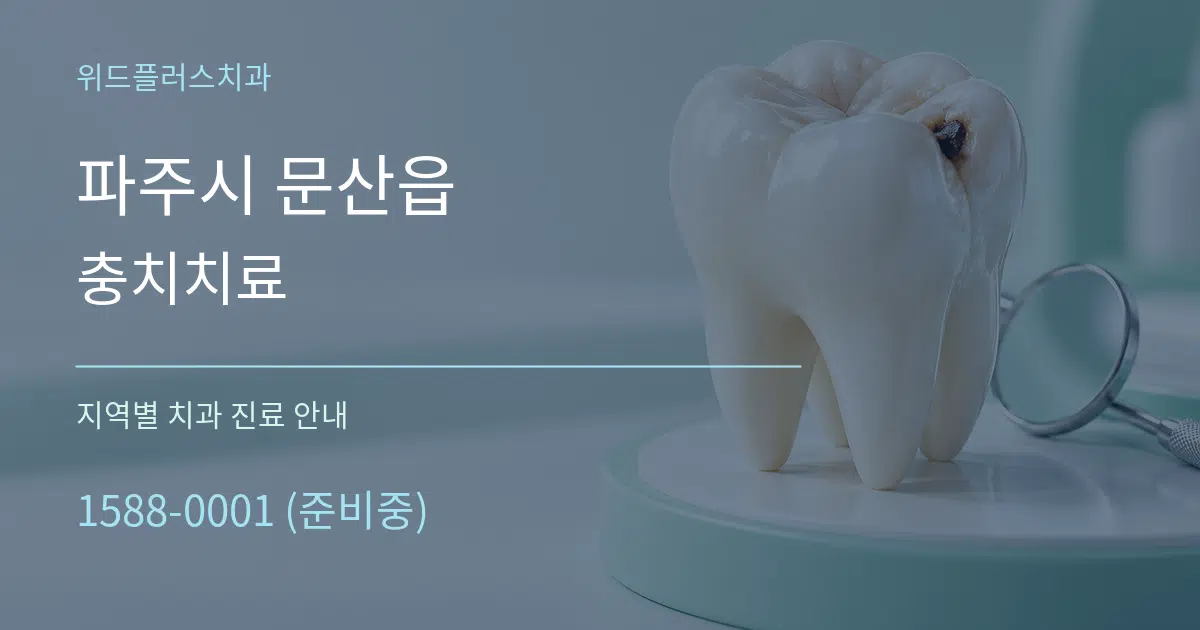 파주시 문산읍 충치치료 대표 안내 그래픽