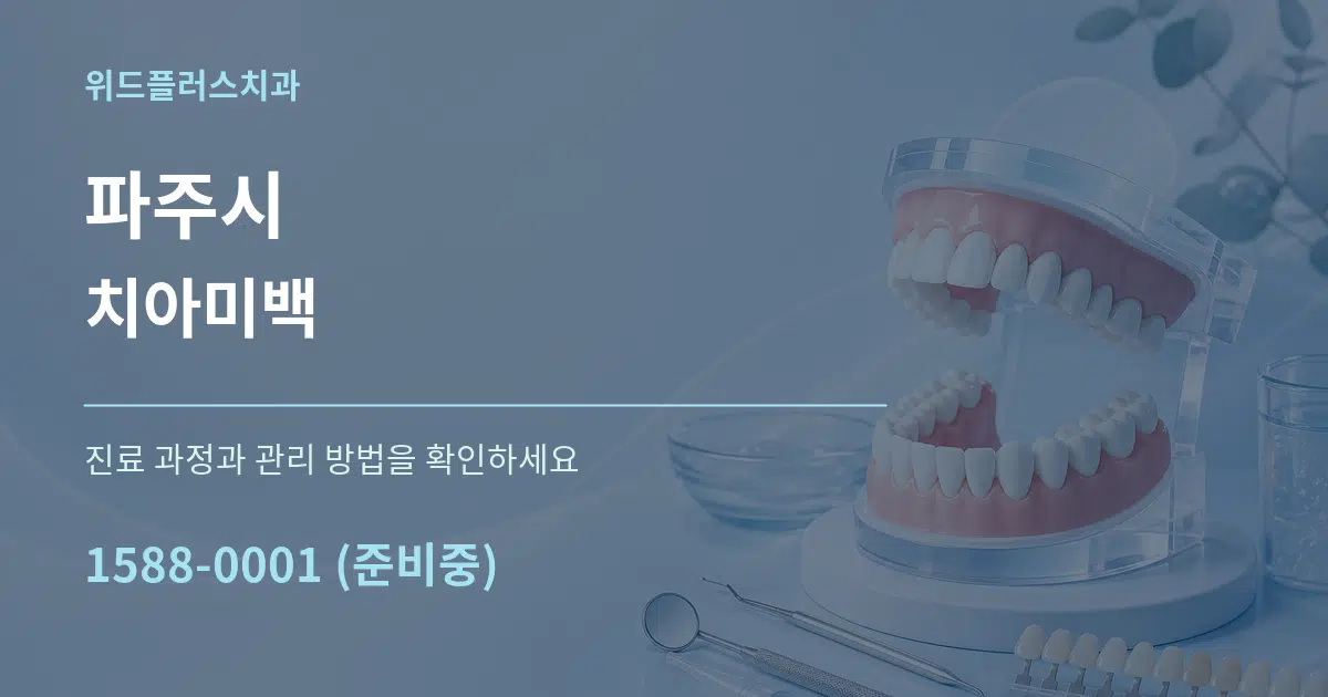 파주시 치아미백 서비스 이용 안내 그래픽
