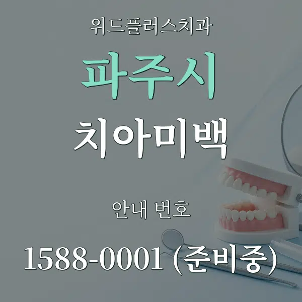 파주시 치아미백 대표 안내 그래픽
